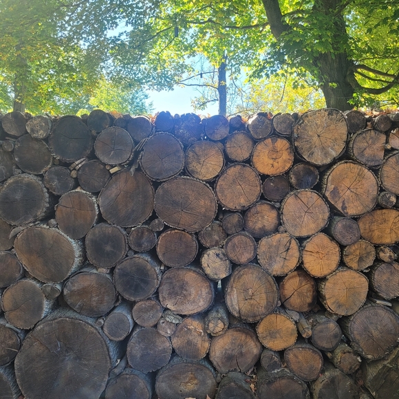 Meet your Posher, Lena - Picture 10 of 10